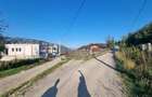 Teren Construcții intravilan de 6000 mp, în Dărmănești - 18