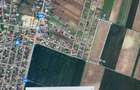 Teren intravilan Dascalu 18000m2 - 4