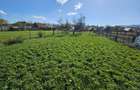 Casa de vanzare Miercurea Ciuc - 1
