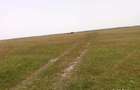 Teren de 9.5 mp, în Ceamurlia de Jos - 4