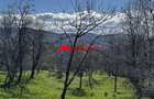 Casa de vanzare Comarnic Ghiosesti | 3.025 mp | 49.000 FIX | 0% comi - 16