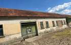 Casă cu Teren 2800 Mp în Remetea-Pogănici - 4