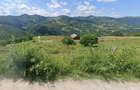 Inchiriez sau vand teren intravilan Muntele Rece - 10524 mp - 5
