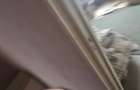 Apartament cu 3 camere semidecomandat în Teiul Doamnei - 12 Apartament cu 3 camere semidecomandat în Teiul Doamnei - 12
