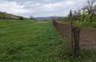 Vand teren sat Ghilanesti com Cristesti Botosani 5400 m2 - 8