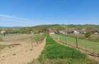 Teren 5,70 ha intravilan+extravilan, Vladimir-Andreesti , Jud.Gorj - 2