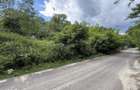 Teren intravilan 683 mp deschidere la strada asfaltata ! - 15