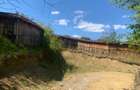 vand teren intravilan comuna Alexandru cel Bun - 2
