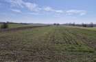 Trestieni - Ulmi, vanzare teren 1.663mp, intravilan - 5