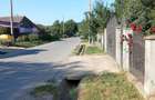 Casa cu gradina de vanzare - 4