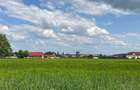 Vanzare in Tg Neamt teren + 600MP hale metalice - 4