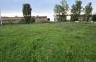 Teren agricol intravilan de 5800 mp, în Tureni - 4
