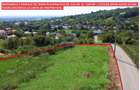 Teren extravilan de vanzare in Baia Mare- Valea Borcutului - 1