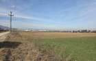 TEREN INTRAVILAN-INDUSTRIAL - 2