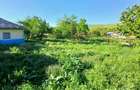 Casă cu 4 camere cu Teren 1500 Mp în Vlădeni - 10