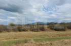 Teren Construcții extravilan de 10000 mp, în Sud-Vest - 7