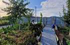 Casă cu 4 camere cu Teren 600 Mp în Săsar - 11