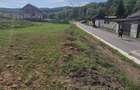 Teren intravilan langa DEVA