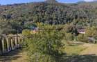 Casă individuală cu 6 camere cu Teren 6329 Mp în Alexandru cel Bun - 9