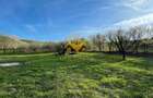 Teren agricol de 5500 mp, în Sopor - 1