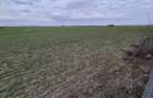 Vanzare teren intravilan 13.852mp, zona depozite Domnesti - 2