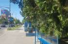 Teren intravilan 719 m.p Timisoara, Bv. Take Ionescu 59 - 5