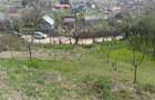 Casă cu 2 camere cu Teren 2500 Mp în Bogați - 8