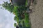 Apartament cu 3 camere, gradina, parcare in ansamblu privat - 6