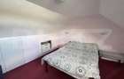 Casă cu Teren 4765 Mp în Bârsa - 16