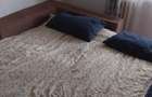 Apartament cu 2 camere semidecomandat în Micălaca - 1