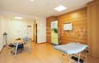 Apartament cu 6 camere decomandat în Herăstrău - 18