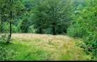 Teren de vanzare Lunca Florii, Petrila | Ideal cabana / investitie - 1
