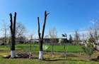 Casă cu 3 camere cu Teren 2000 Mp în Gemenele - 1