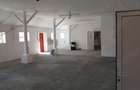 Inchiriez spatii comerciale Mosnita - 5