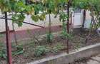 Casă cu 4 camere în Cohani - 10 Casă cu 4 camere în Cohani - 10