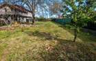 Buftea teren +casa de vanzare - 4