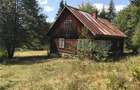 Vand casa +teren+padure - 1