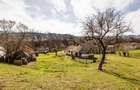 Teren de 6500 mp, în Moieciu - 6