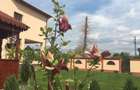 De vanzare Casa D+P+1+ M - 1