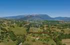 Teren intravilan de 5495 mp, în Bran - 25