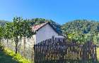 Casă cu 3 camere cu Teren 1053 Mp în Bănița - 1