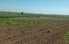 vand teren extravilan 1ha si 66 arii - 1
