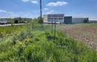 3.65 hectare teren partial intravilan Ciuperceni de vanzare, front 100 m la asfalt, ceas curent trifazic, construibil, plat - 7