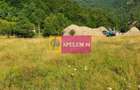 Teren Jude?ul Valcea - Brezoi, Valea lui Stan - 2