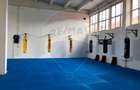 Spațiu de închiriat pt sala dansuri, gimnastica, sala sport -- 220mp - 4