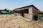 Casă individuală cu teren generos și multiple anexe– in FOIENI 80.000€ - 6