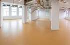 PROPRIETAR Inchiriez parter OPEN-SPACE | B-dul Dragalina Timisoara - 5