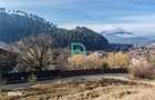 Teren de vanzare, 850mp, electricitate, padure - 2