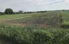 Proprietar vand teren pt construc?ii- Bucovat-Remetea Mare - 3