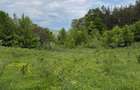 Teren 8.329 mp Magura (Ciuta), jud. Buzau extravilan - 2